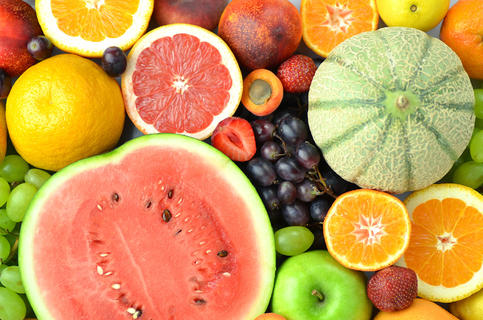 水果與無脊椎動(dòng)物 自然界的多彩素材