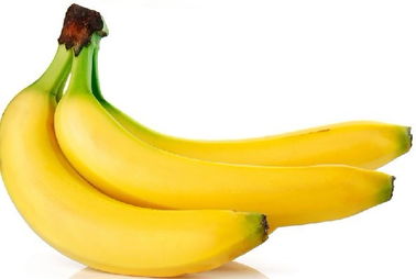 香蕉與無(wú)脊椎動(dòng)物 一場(chǎng)意外的營(yíng)養(yǎng)聯(lián)想