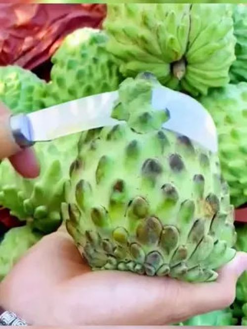 嘗過(guò)這款“樹(shù)上蜜糖”嗎？——探訪源頭好生鮮的甜蜜秘密