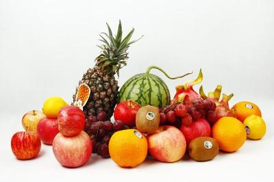 新年新“果”禮 跨越物種界限的溫情饋贈